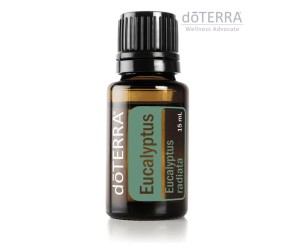 Eukalyptus alebo inak “olej zdravia”